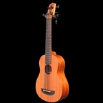 Nomad Acoustic-Electric U-BASS