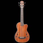 Journeyman Acoustic-Electric U•BASS with F-Holes, Deluxe Gig Bag